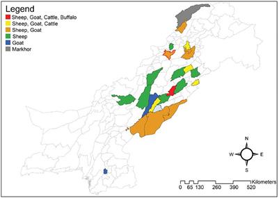 Epidemiology and phylogeny of Haemonchus contortus through internal transcribed spacer 2 gene in small ruminants